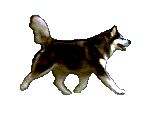 cane
