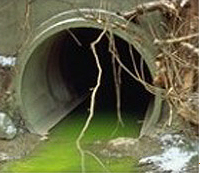 scarico inquinante