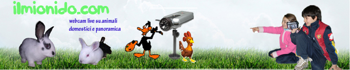 video-animali-webcam